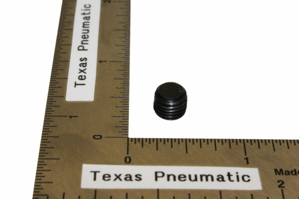 PLUNGER SCREW