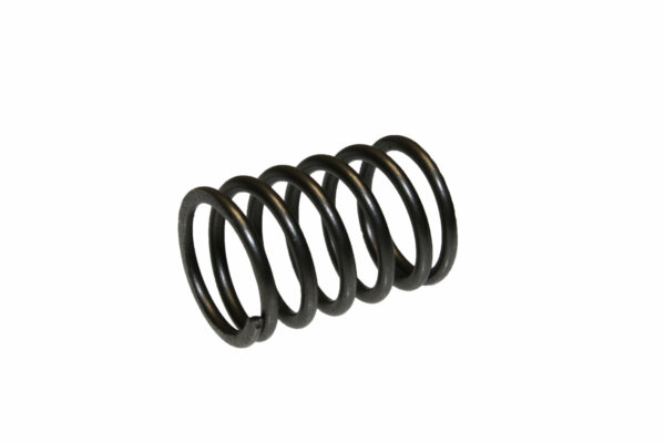 THROTTLE VALVE SPRING