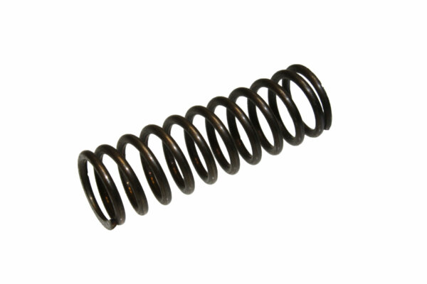 THROTTLE VALVE SPRING