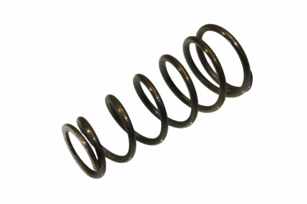 VALVE SPRING